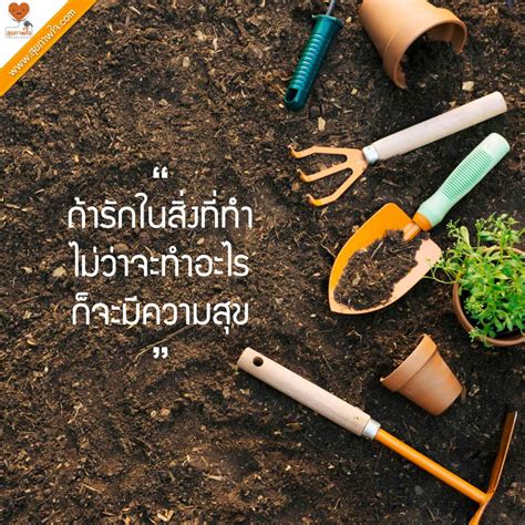 ban10อยากทําอะไรก็ทํา|50 สิ่งที่ต้องทำให้ได้สักครั้งในชีวิต .